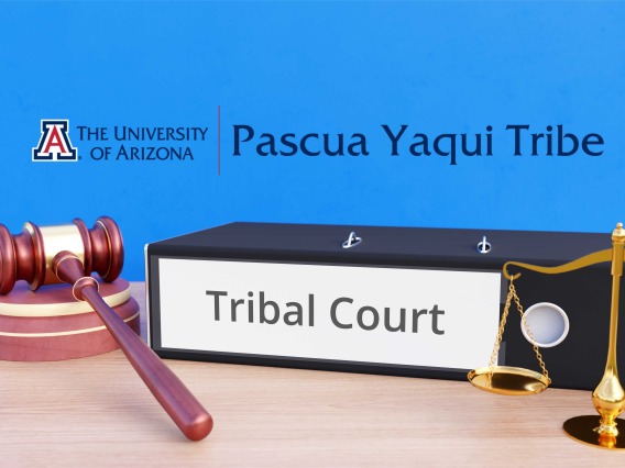 Tribal Courts and Justice Administration Course Image