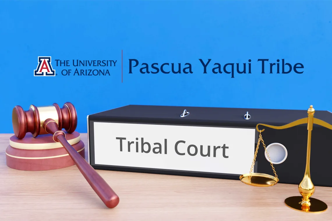 Tribal Courts and Justice Administration Course Image