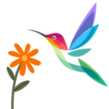 Humming Bird Graphics